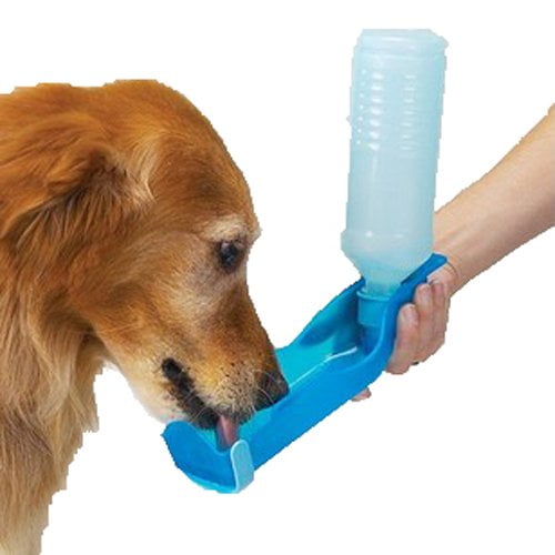 Bouteille d'eau pour chien ou chat transportable