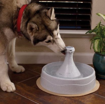 Fontaine pour animaux 360 Drinkwell Petmate 3.8 L (130 oz)